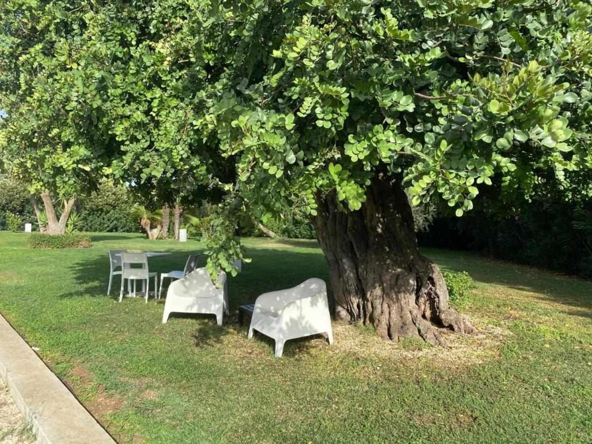 Torre Dantona Country Suites Pozzallo Eksteriør billede