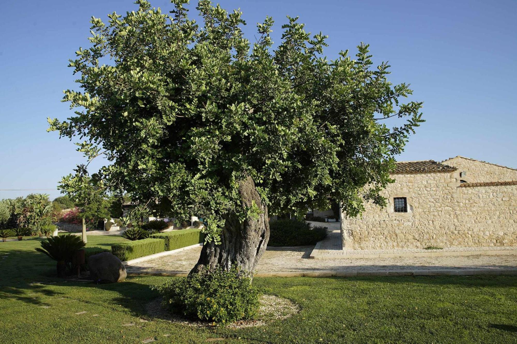 Torre Dantona Country Suites Pozzallo Eksteriør billede